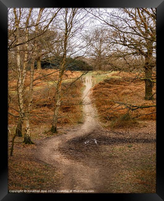 The Deviation, Weald Country Park Framed Print by Jonathan Bird