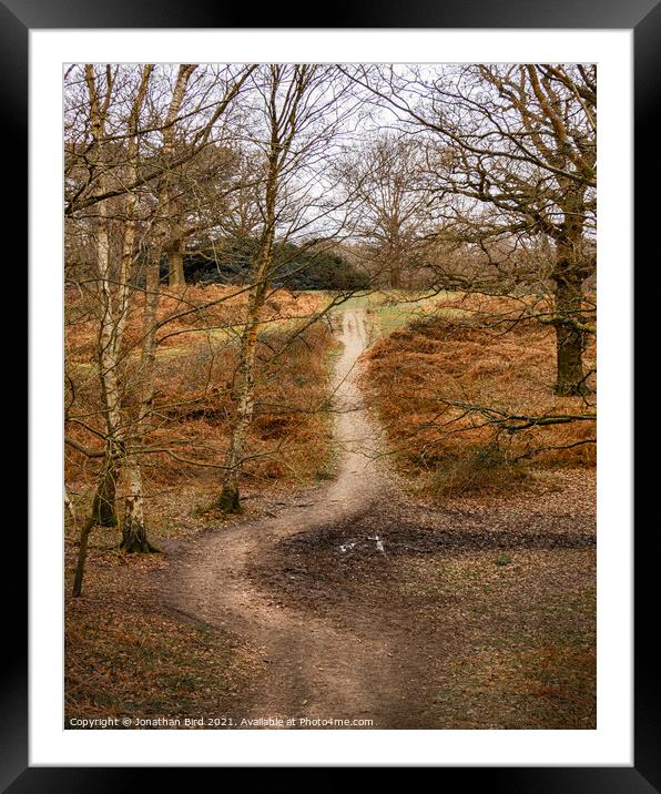 The Deviation, Weald Country Park Framed Mounted Print by Jonathan Bird
