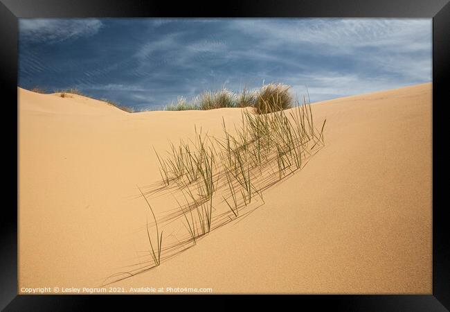 Sand Dune Grass Framed Print by Lesley Pegrum