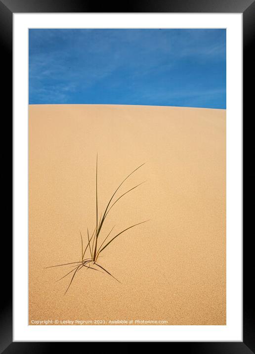 Sand Sky & grass Framed Mounted Print by Lesley Pegrum