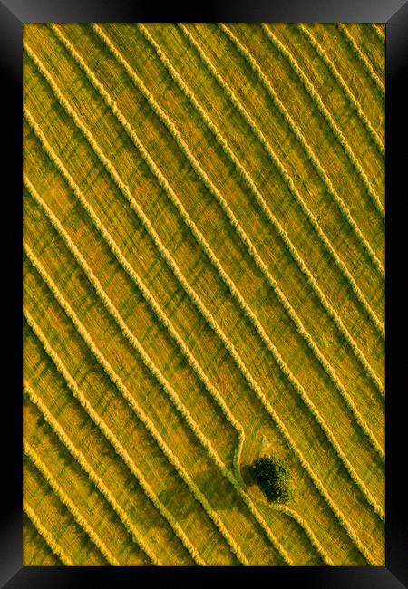 Beauty and patterns of a cultivated farmland in Slovakia from above. Framed Print by Andrea Obzerova