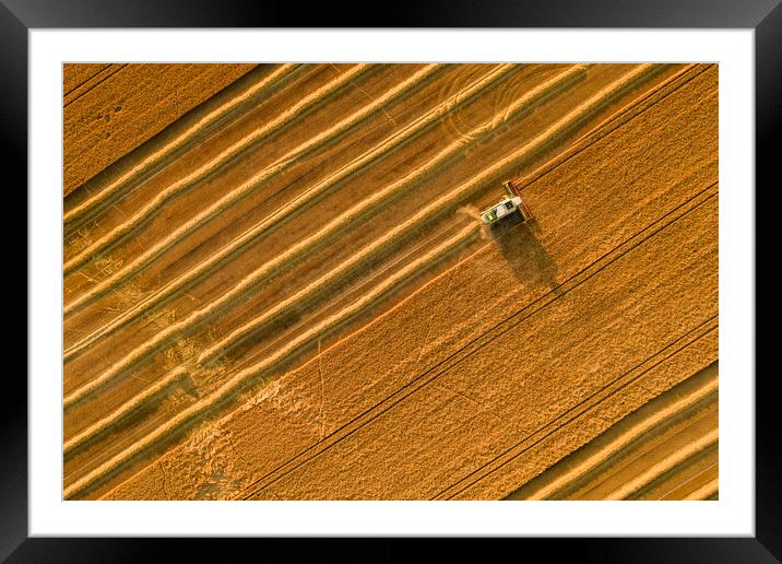 Wheat crop harvest. Aerial view of combine harvester at work. Framed Mounted Print by Andrea Obzerova