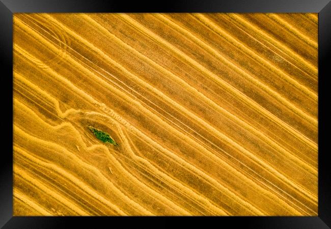 Beauty and patterns of a cultivated farmland from above. Framed Print by Andrea Obzerova