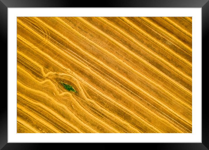 Beauty and patterns of a cultivated farmland from above. Framed Mounted Print by Andrea Obzerova