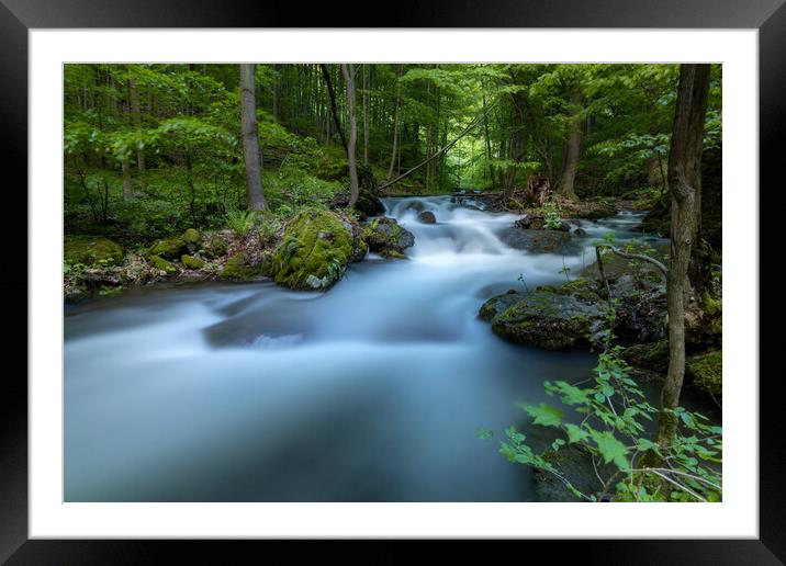 Wild forest river. Framed Mounted Print by Andrea Obzerova