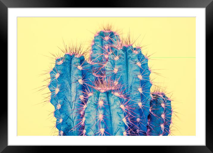 Exotic pop minimal background with cactus plant. Framed Mounted Print by Andrea Obzerova