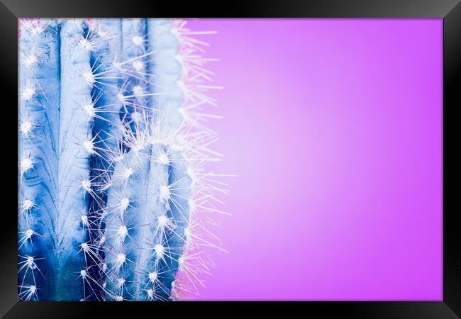 Pop art cactus image. Framed Print by Andrea Obzerova