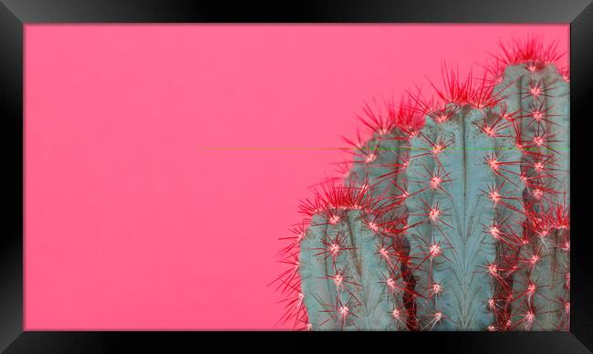 Fashion style cactus poster art. Framed Print by Andrea Obzerova