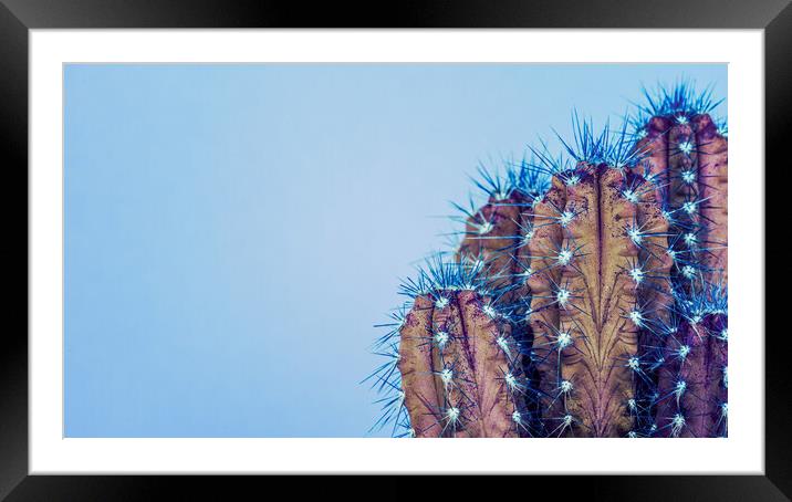 Fashion style cactus poster art. Framed Mounted Print by Andrea Obzerova