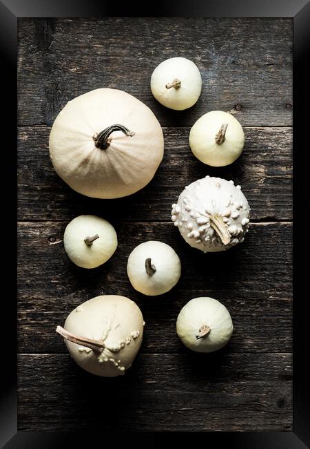Various decorative white pumpkins on dark wooden background. Framed Print by Andrea Obzerova