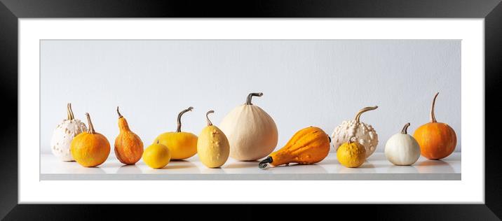 Happy Thanksgiving Background. Framed Mounted Print by Andrea Obzerova