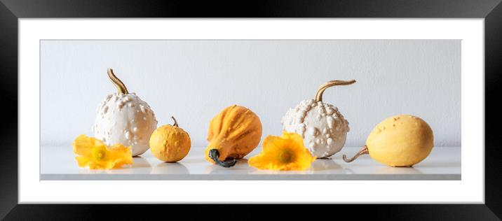 Autumn inspired room decoration.  Framed Mounted Print by Andrea Obzerova