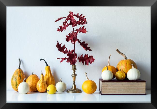 Modern autumn inspired room decoration. Framed Print by Andrea Obzerova