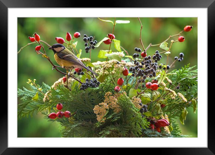 A group of colorful flowers Framed Mounted Print by Andrea Obzerova