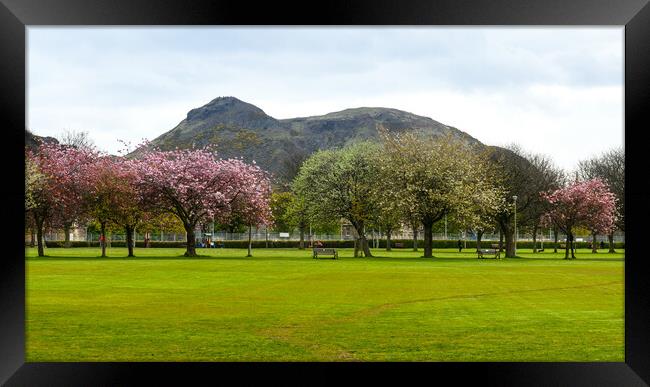 Spring in Meadows park, Edinburgh, with Arthur's seat view. Framed Print by Andrea Obzerova