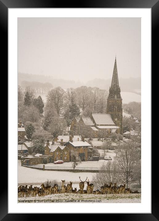 Deer rest in the snowfall admiring the pretty village of Edensor Framed Mounted Print by Sue Lenthall