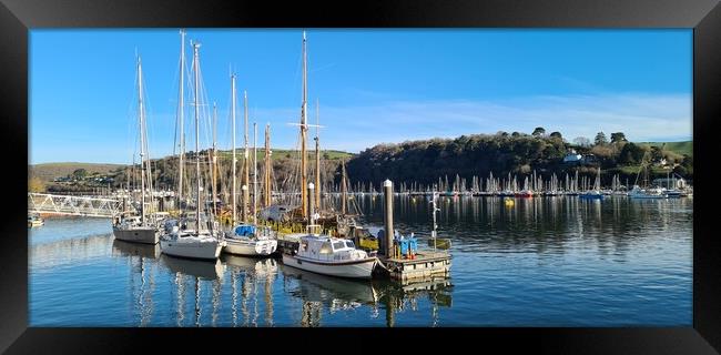 Boats moored up at Dartmouth, Devon  Framed Print by Anthony Palmer-Greene