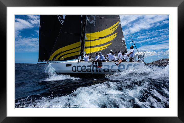 Oceanracers at Antigua Sailing Week. Framed Mounted Print by Ed Whiting