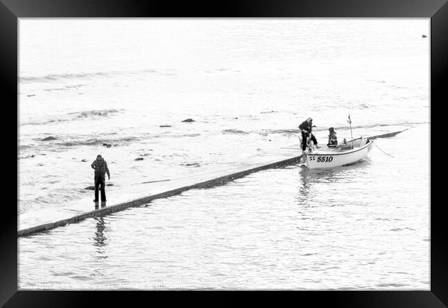 Landing fish at St Ives. Framed Print by Ed Whiting