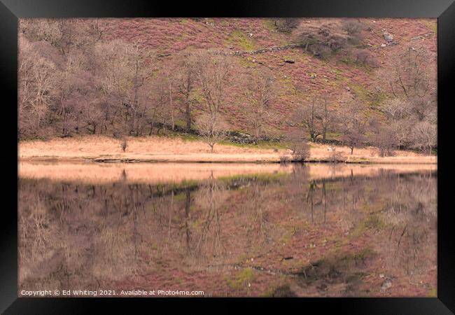 Reflections in a Snowdon Lake Framed Print by Ed Whiting