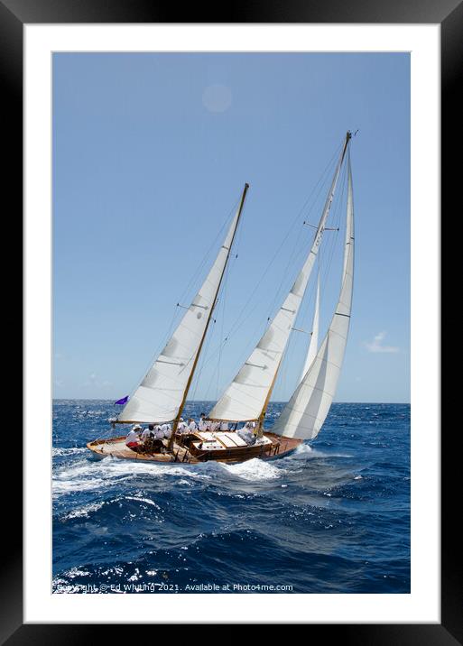 Yacht A9 racing Framed Mounted Print by Ed Whiting