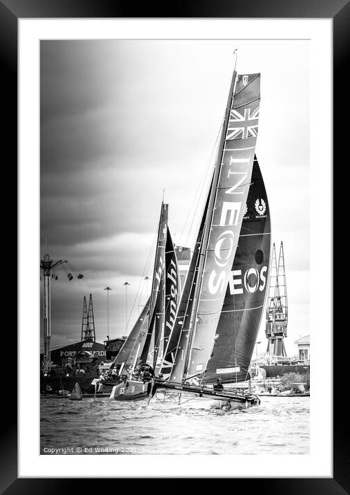 Inshore racing Framed Mounted Print by Ed Whiting