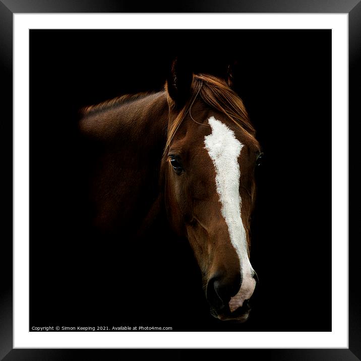 HORSE WITH BLAZE Framed Mounted Print by Simon Keeping