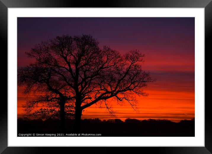 OAK AT SUNRISE Framed Mounted Print by Simon Keeping