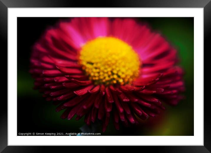 PINK AND YELLOW Framed Mounted Print by Simon Keeping