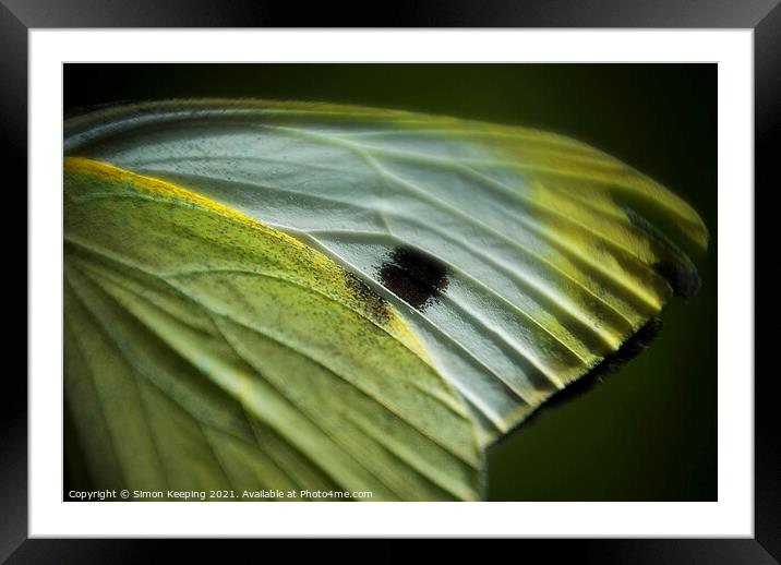 BUTTERFLY WING Framed Mounted Print by Simon Keeping