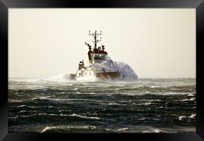 Tugboat in the waves Framed Print by Massimiliano Leban