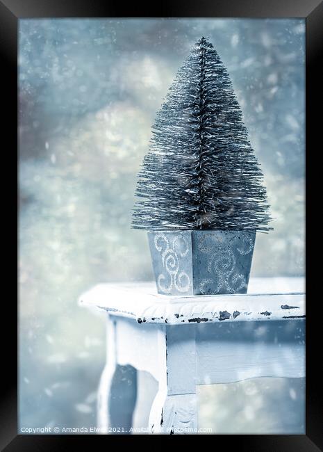 Miniature Christmas Tree Framed Print by Amanda Elwell