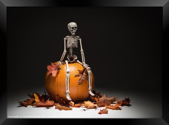 Skeleton With Pumpkin & Leaves Framed Print by Amanda Elwell