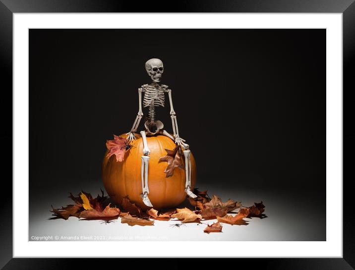 Skeleton With Pumpkin & Leaves Framed Mounted Print by Amanda Elwell