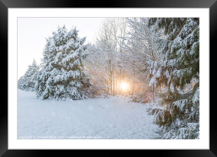 Winter Low Sun Framed Mounted Print by Amanda Elwell