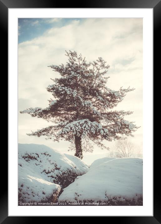 Tree In Snow Scene Framed Mounted Print by Amanda Elwell