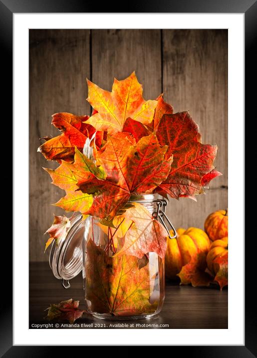 Autumn Leaves Still Life Framed Mounted Print by Amanda Elwell