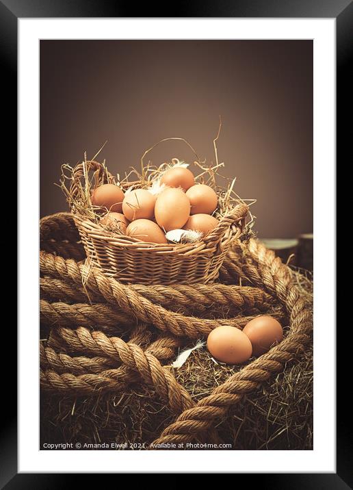 Close Up Of Fresh Eggs Framed Mounted Print by Amanda Elwell