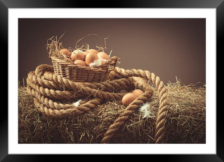 Hens Eggs Framed Mounted Print by Amanda Elwell