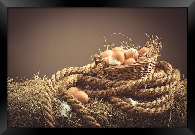 Fresh Eggs Framed Print by Amanda Elwell