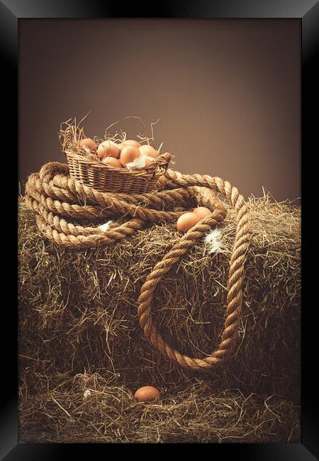 Fresh Hens Eggs Framed Print by Amanda Elwell