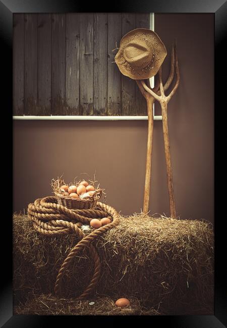 Eggs In The Barn With Pitch Forks Framed Print by Amanda Elwell
