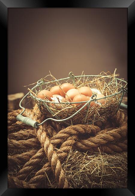 Eggs In The Barn Framed Print by Amanda Elwell
