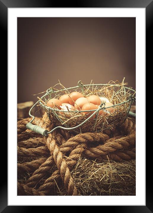 Eggs In The Barn Framed Mounted Print by Amanda Elwell