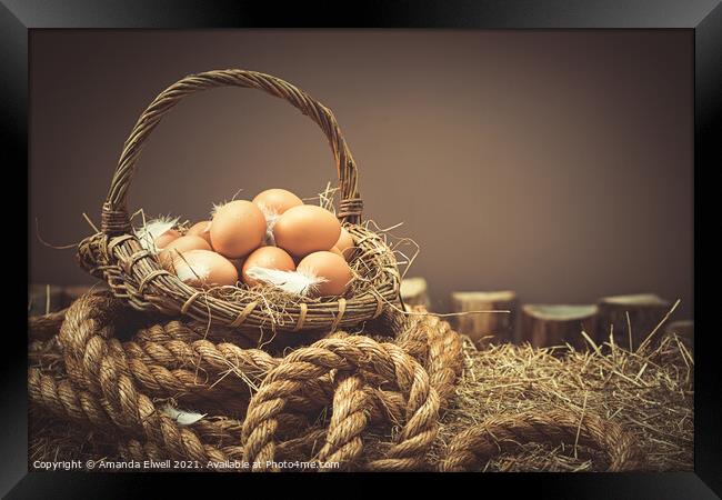 Fresh Eggs Framed Print by Amanda Elwell