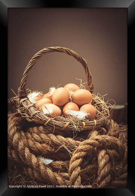 Eggs Framed Print by Amanda Elwell