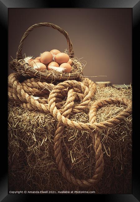 Eggs In Basket Framed Print by Amanda Elwell