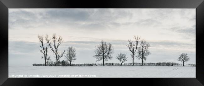 Tree Line In Snow Framed Print by Amanda Elwell