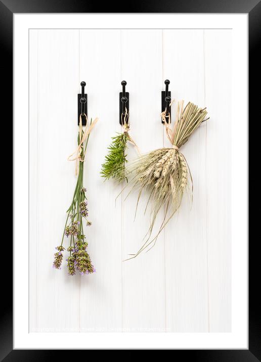 Drying Herbs & Lavender Framed Mounted Print by Amanda Elwell