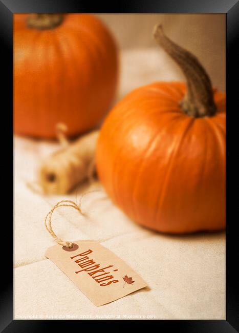 Pumpkin Label Framed Print by Amanda Elwell